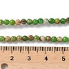 Dyed Natural Regalite/Imperial Jasper/Sea Sediment Jasper Beads Strands G-B124-C05-08-2