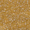 TOHO Round Seed Beads X-SEED-TR08-0162F-2