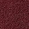 MIYUKI Round Rocailles Beads SEED-X0055-RR2410-3
