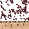 Baking Paint Glass Seed Beads SEED-S042-15A-19-4