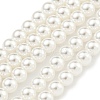 Glass Pearl Beads Strands HY-G002-01B-01-1