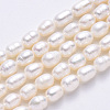 Natural Cultured Freshwater Pearl Beads Strands X-PEAR-S012-41C-2