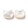 Natural White Shell Beads SHEL-G014-10B-01-2