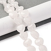Natural White Jade Beads Strands G-I372-A10-02-1