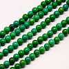 Natural Magnesite Beads Strands TURQ-L019-6mm-03-1