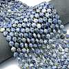 Natural Blue Spot Jasper Beads Strands G-C116-A73-02-1