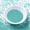 MIYUKI Delica Beads SEED-J020-DB0166-2