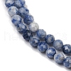Natural Blue Spot Jasper Beads Strands G-A252-A02-4mm-4