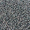 MIYUKI Delica Beads SEED-X0054-DB1712-2