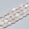 Natural Rose Quartz Beads Strands G-S357-B07-1