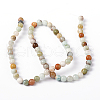 Natural Flower Amazonite Round Bead Strands X-G-D608-6mm-5