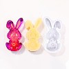 Easter Silicone Molds PW-WGC9E6B-02-1