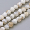 Natural Fire Crackle Agate Beads Strands G-S249-09-8mm-1