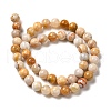 Natural Crazy Lace Agate Beads Strands G-H298-A12-03-3
