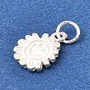 925 Sterling Silver Charms STER-Q003-01A-S-2