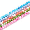 Dyed Natural Trochid Shell/Trochus Shell Beads Strands SSHEL-T017-13M-1