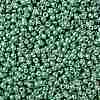 TOHO Round Seed Beads SEED-XTR08-PF0561-2