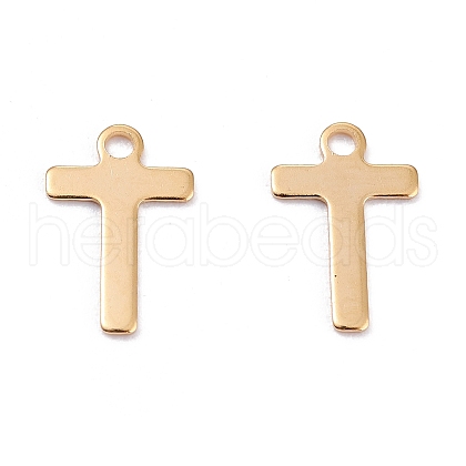 201 Stainless Steel Charms STAS-C021-06G-T-1
