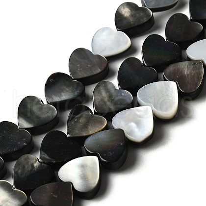 Natural Black Lip Shell Beads Strands BSHE-D300-06B-1