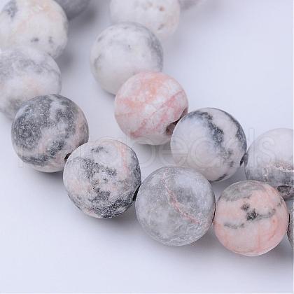 Natural Zebra Jasper Beads Strands G-Q462-6mm-03-1