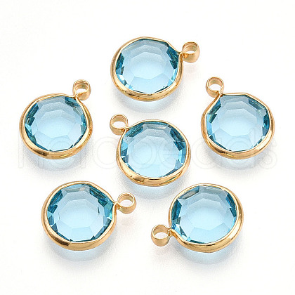 K9 Glass Charms X1-GLAA-T023-37A-05-1