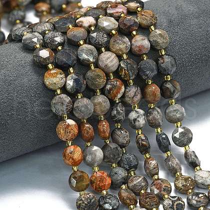 Natural Fossil Coral Beads Strands G-C116-A132-01-1