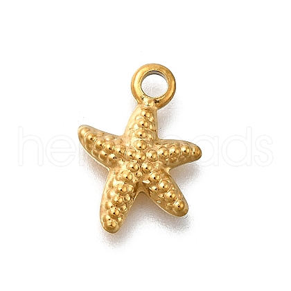 304 Stainless Steel Charms STAS-R159-46G-04-1