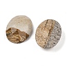 Natural Picture Jasper Cabochons G-Q186-01E-2