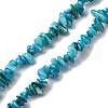 Natural Freshwater Shell Beads Strands BSHE-I016-01A-1