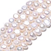 Natural Cultured Freshwater Pearl Beads Strands PEAR-N014-03D-01-2