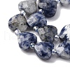 Natural Blue Spot Jasper Beads Strands G-P570-E19-01-4