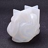 DIY Decoration Statue Silicone Molds DIY-D051-05-6