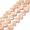 Natural Trochid Shell Beads Strands SSHEL-G023-16A-1