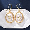Oval with Insects Brass Baroque Pearl Dangle Earrings EJEW-Q043-03G-2