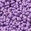 Baking Paint Glass Seed Beads SEED-K009-01A-11-3
