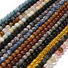 Natural Wood Lace Stone/Blue Spot Jasper/Black Netstone/Opal/Cherry Blossom Glass Beads Strands G-P562-C-02-1