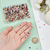  60G 12 Styles Czech Glass Seed Beads SEED-NB0002-11-3