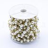 Natural Freshwater Pearl Handmade Beaded Chains CHC-L036-12G-2