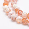 Faceted Natural Fire Crackle Agate Beads Strands G-F447-6mm-B03-4