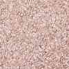TOHO Round Seed Beads SEED-JPTR15-0106-2