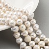 Natural Cultured Freshwater Pearl Beads Strands PEAR-C003-15A-1
