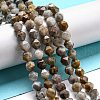 Natural Gobi Agate Beads Strands G-NH0012-B03-02-1