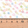 6/0 Transparent Colours Glass Seed Beads SEED-N007-22A-4