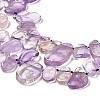 Natural Amethyst Beads Strands G-M408-E01-4