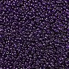 MIYUKI Round Rocailles Beads SEED-X0054-RR0308-3