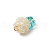 Glass Seed Beaded Pendants PALLOY-MZ00593-01-4