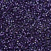 MIYUKI Delica Beads X-SEED-J020-DB1756-3