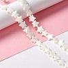 Natural Trochid Shell/Trochus Shell Beads SSHEL-O001-25D-01-5