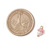 Flower Acrylic Charms PALLOY-JF03588-05-2