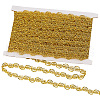 13.5M Polyester Braided Lace Trim OCOR-WH0308-500-1